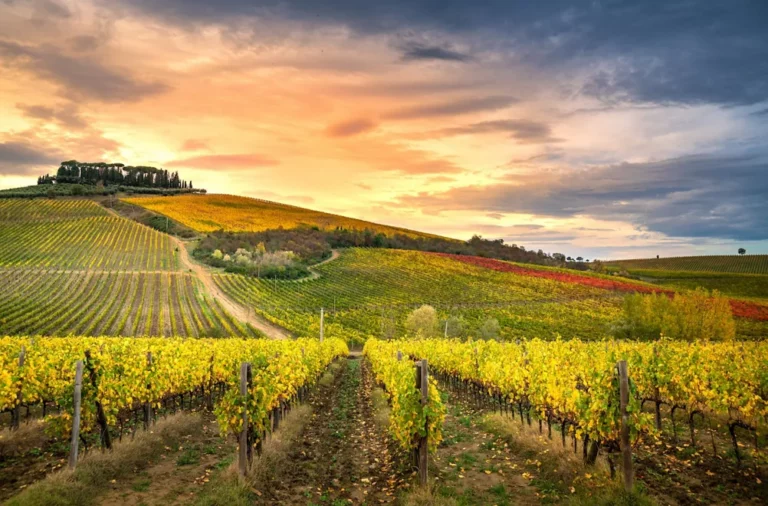 Sulle Colline del Chianti